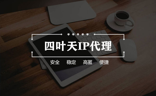 【承德代理IP】如何快速搭建代理IP？怎么检查代理的效果？